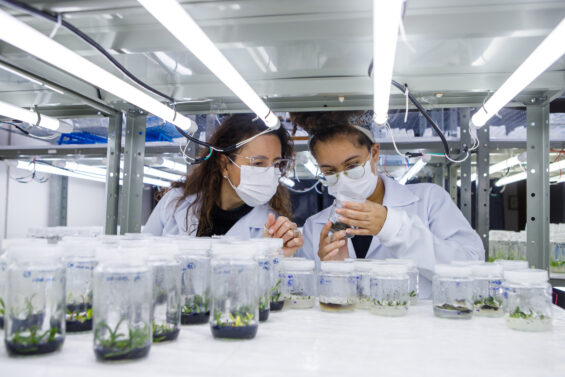 Rowen supports higher education institutions in experiential learning and research programs 